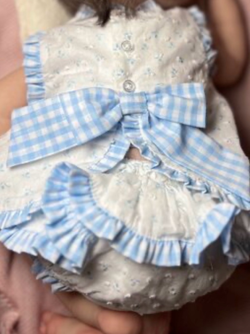 Edgehill Collection Gingham Blue White Lace 2 Piece Set Baby 6 Months